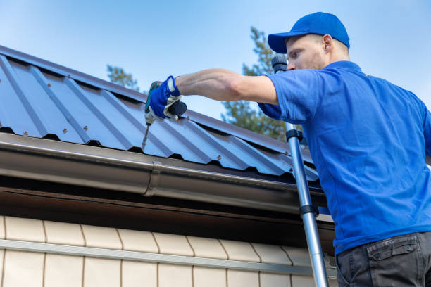 Best Skylight Installation and Repair  in Genoa, IL