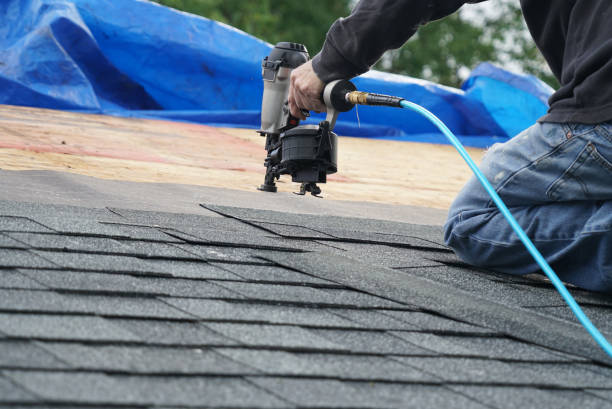 Best Roof Ventilation Installation  in Genoa, IL