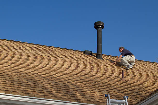 Best Chimney Flashing Repair  in Genoa, IL